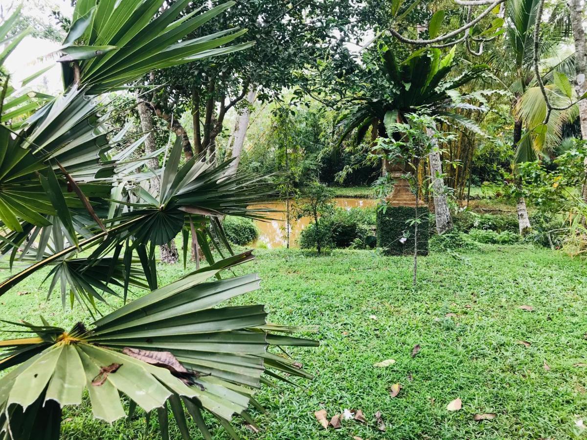 Swarnapaya Residence Bentota Kültér fotó